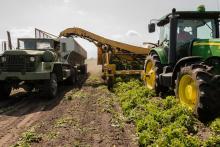 crop-animal-production.jpg