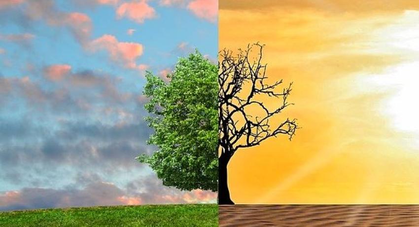 Climate Change