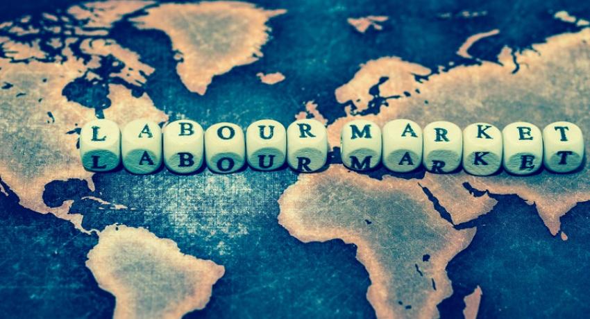 Labour Market