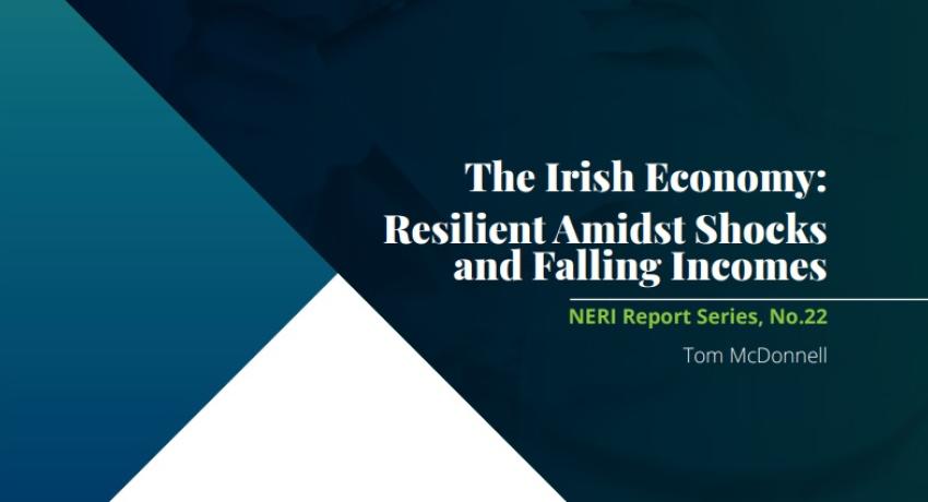 NERI Report Series no 22