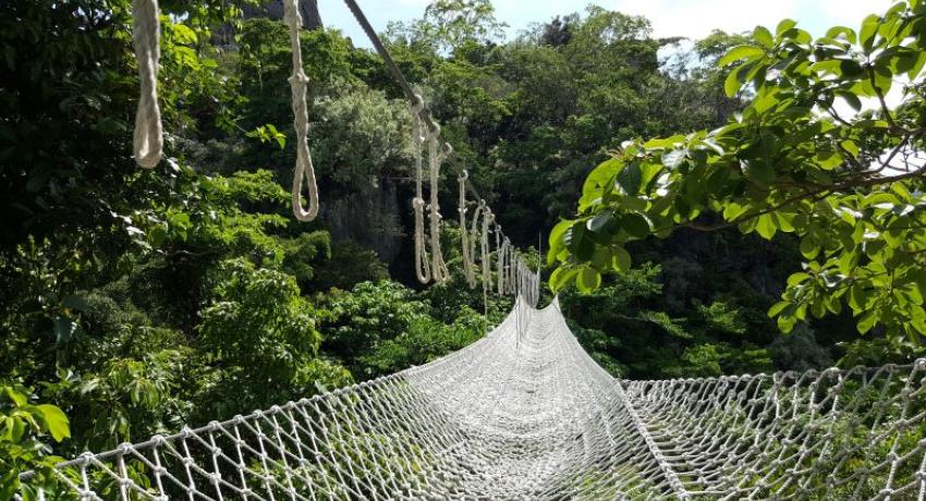 Safety-Net