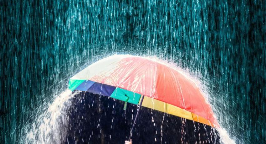 Umbrella in rain