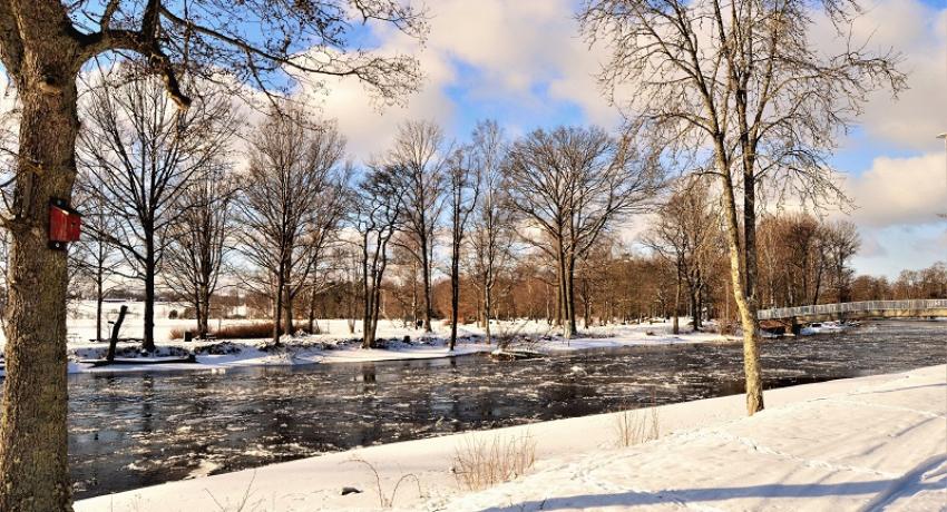 Winter