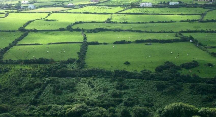Rural_landscape
