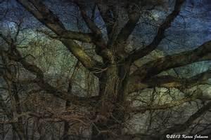 Out of the woods