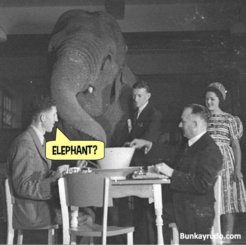 Elephant
