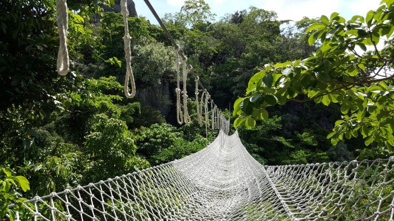 Safety-Net