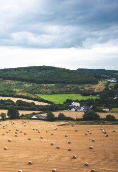 land value tax