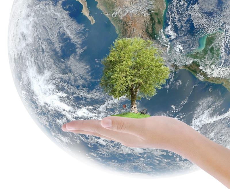 Presentation & video from NERI Seminar - Carbon lock-in and institutions – outlines of a political economic approach to emissions reduction inertia