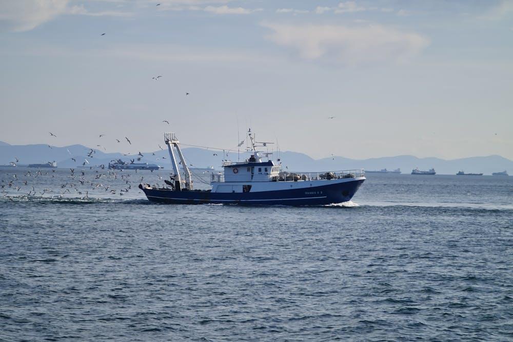 forestry-logging-fishing-aquaculture.jpg