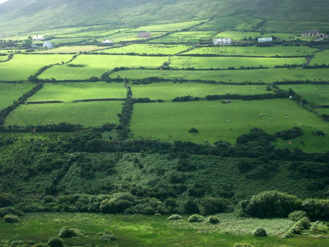 Irish_rural_landscape